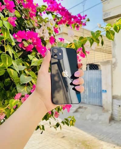 Apple iPhone 12