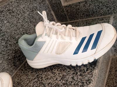 CRICKET GRIPPER+SPIKES (ADIDAS)