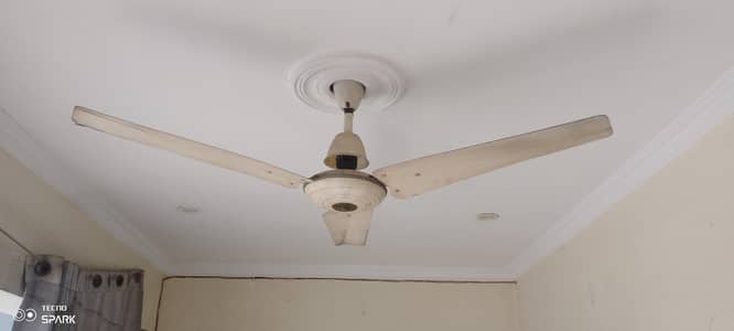 Ceiling Fan for Sale