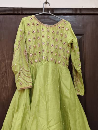 Parrot color maxi