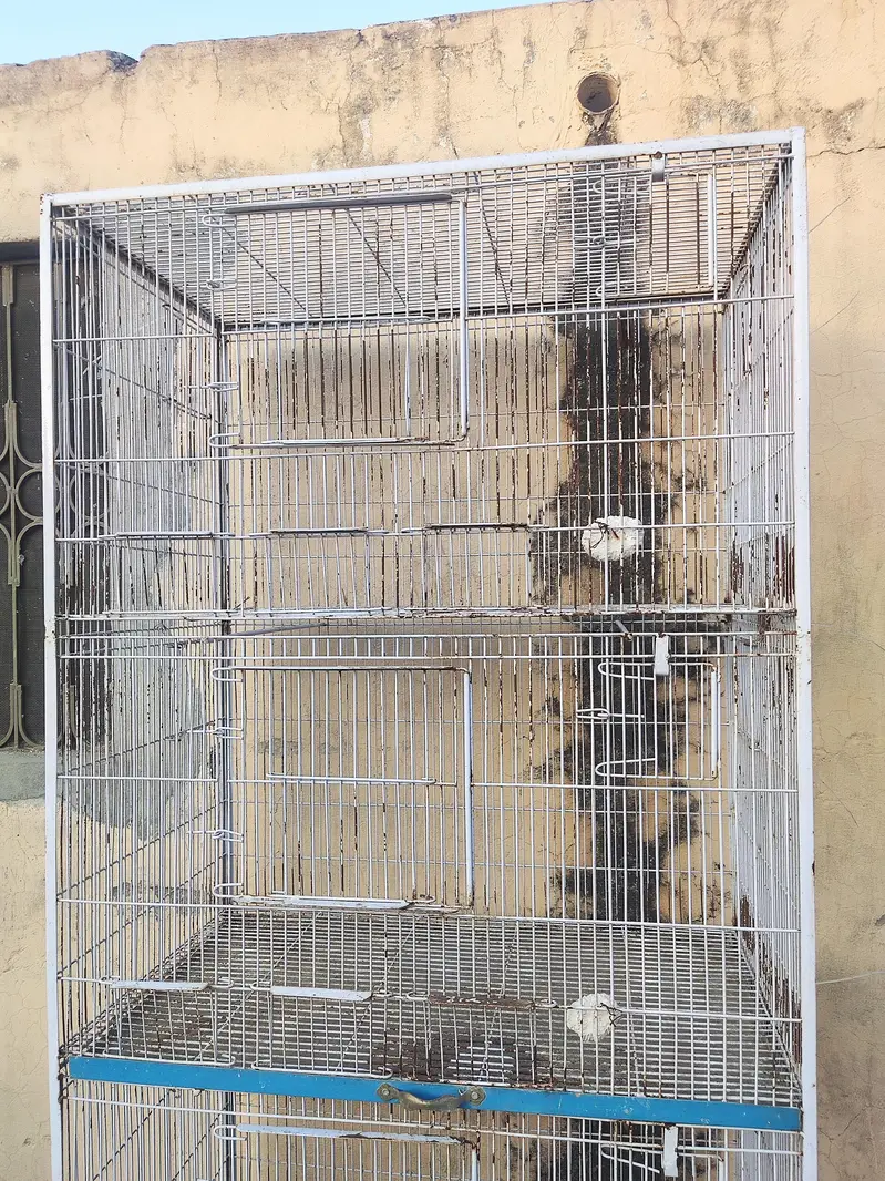 Tower Cage for sale — photo 3