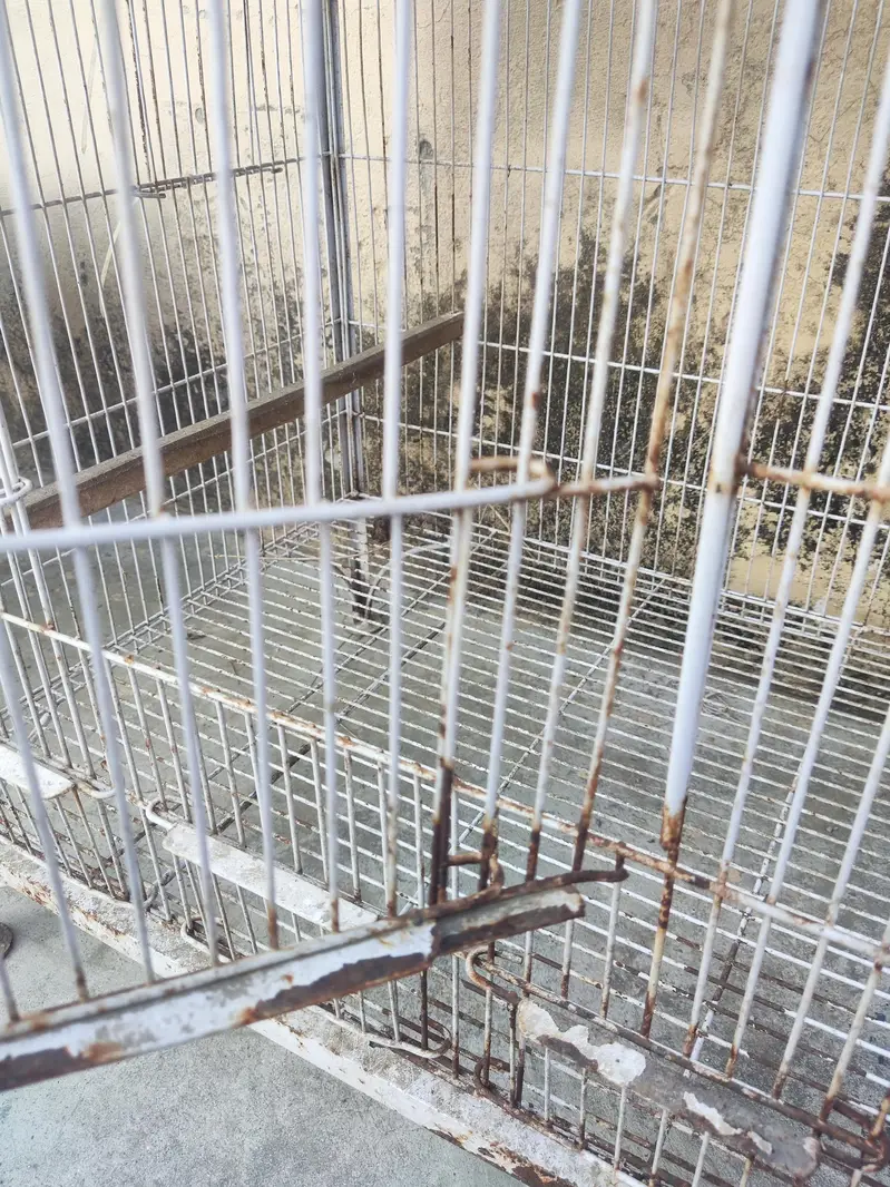 Tower Cage for sale — photo 5
