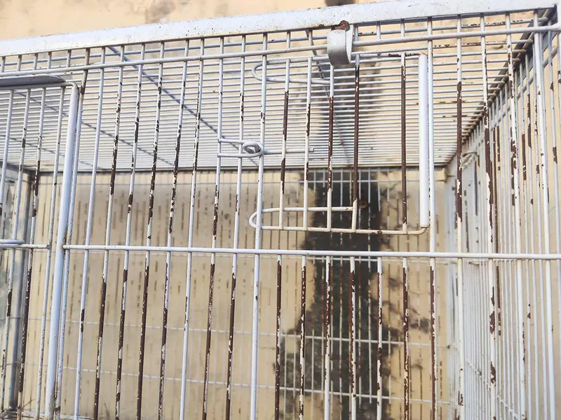 Tower Cage for sale — photo 6