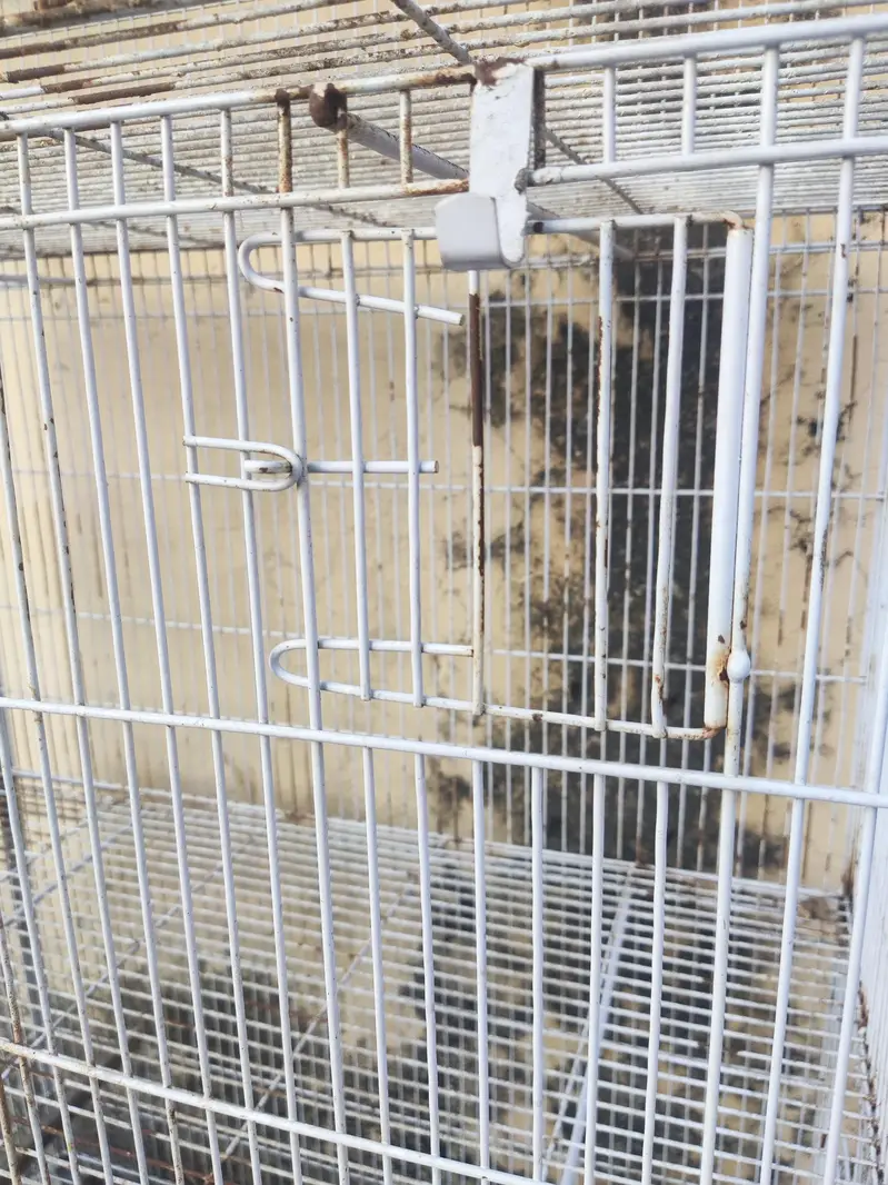 Tower Cage for sale — photo 11