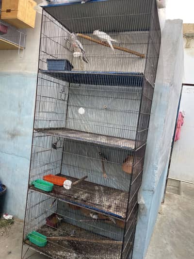 4 Portion Large Bird Cage for Sale in Good Condition