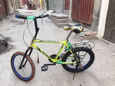 phoneix