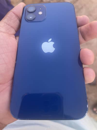 Apple iPhone 12