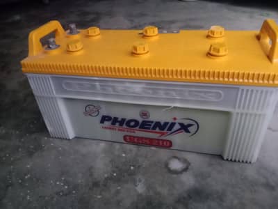 phoenix XP 210