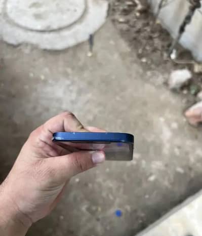 Apple iPhone 12