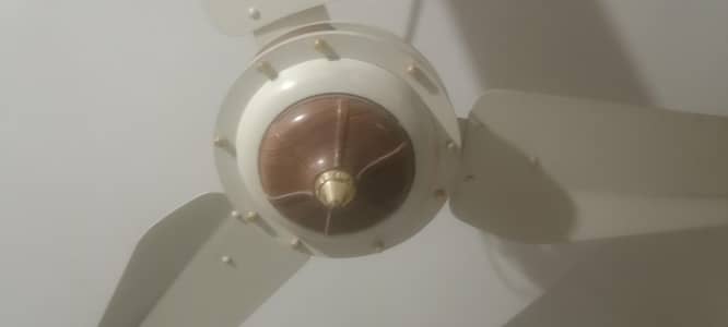 ceiling fan sk