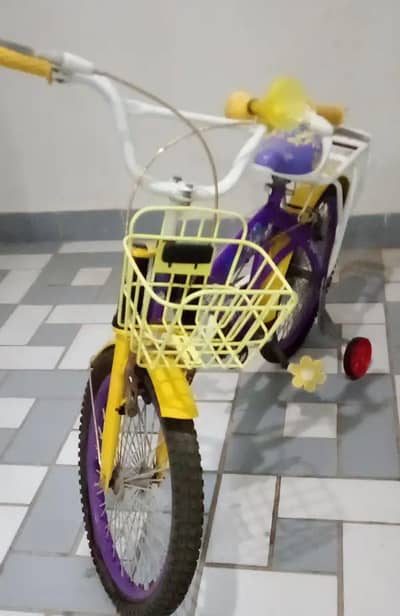 bicycle Barbie