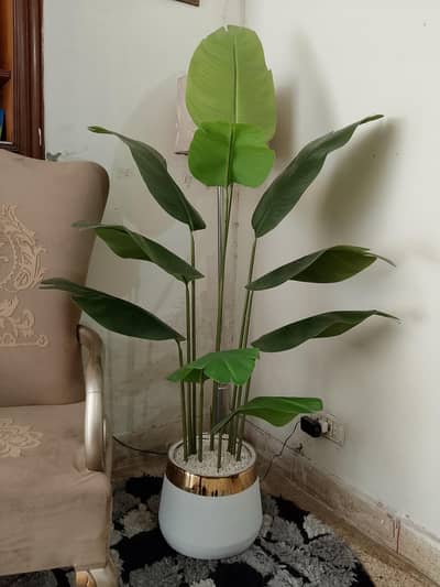 imported artificial banana plant with pot for sale