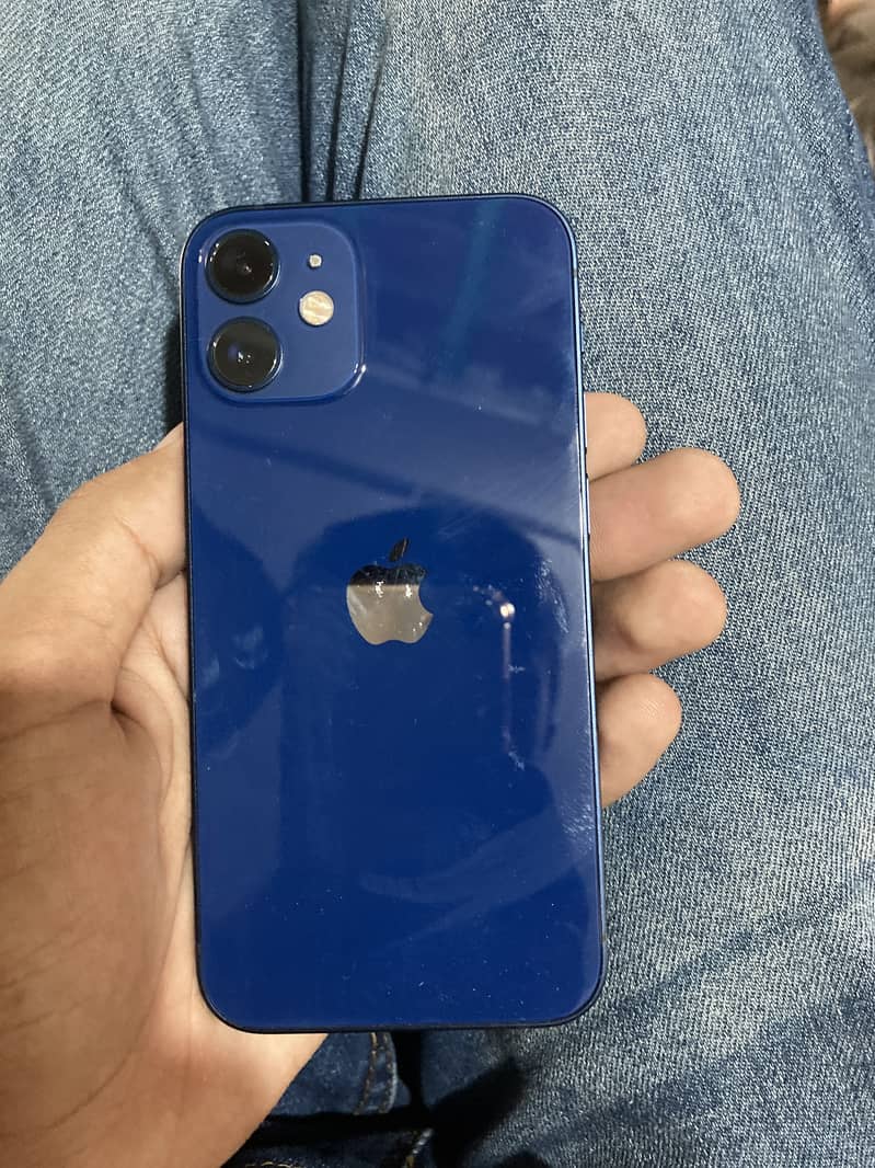 Apple iPhone 12 mini 0