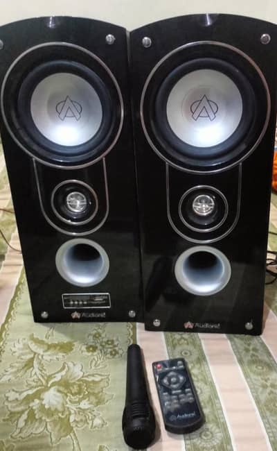 Audionic speaker
