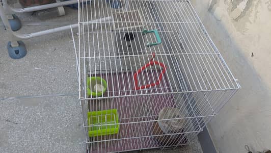 parrots cage