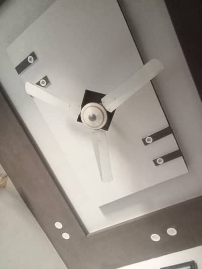 3sealing fans