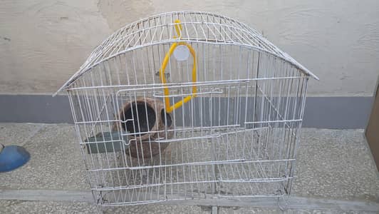 parrots cage