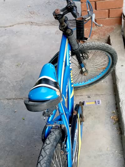 *Used Lion King Sport Cycle 20 Inch - Good Condition - Kids Bike*