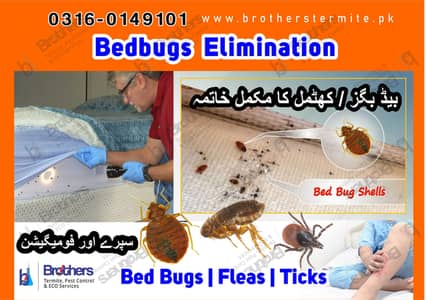 termite spray /pest control/Deemak control /Fumigation/ Cockroach