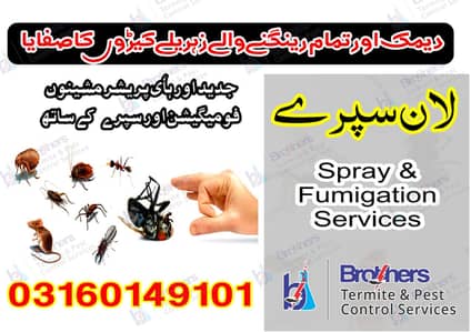 Termite Control Deemak Dengue Spary Fumgation & Pest control Service