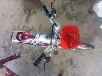 Bicycle