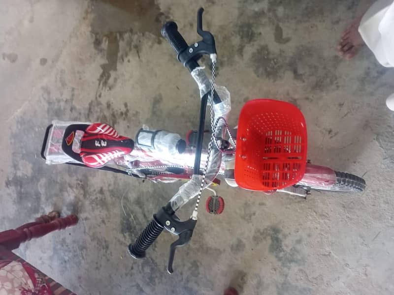 Bicycle 0