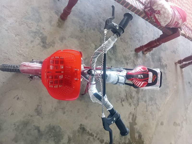 Bicycle 4