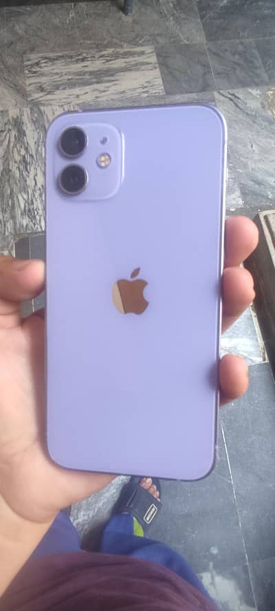 Apple iPhone 12