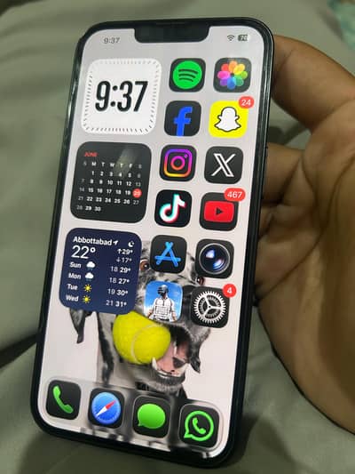 Apple iPhone 16e non pta sim working