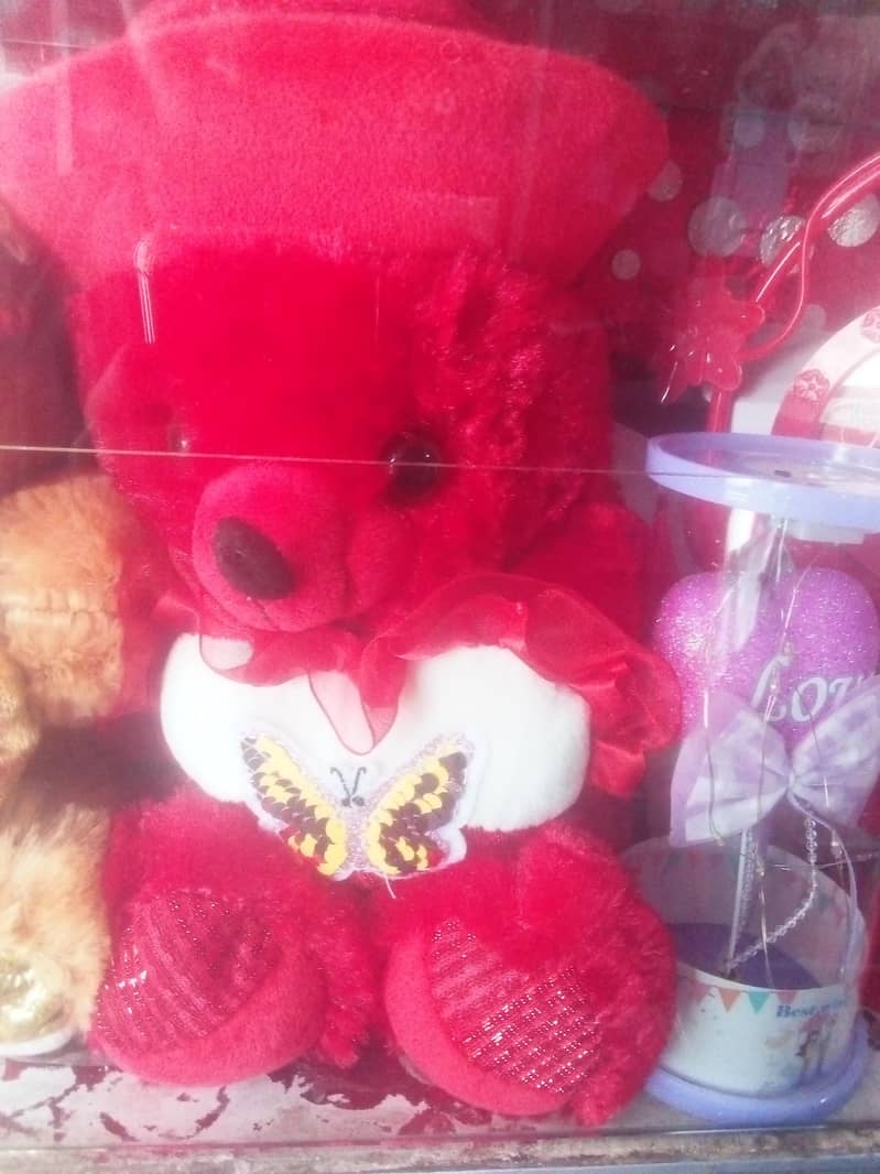 tady bear  1