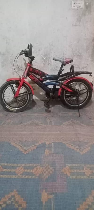 10 year old boy cycle
