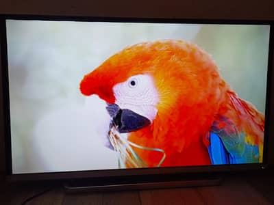 TOSHIBA 42" INCH LED TV