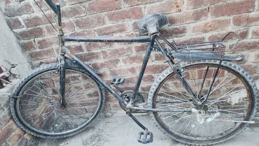 Phonix cycle