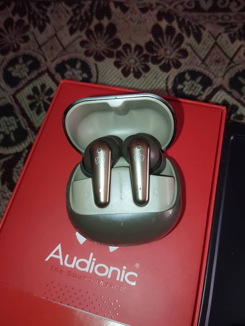 adiunic 595 3