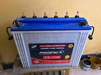 phoenix tall tabular for sale