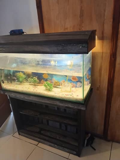 aquarium