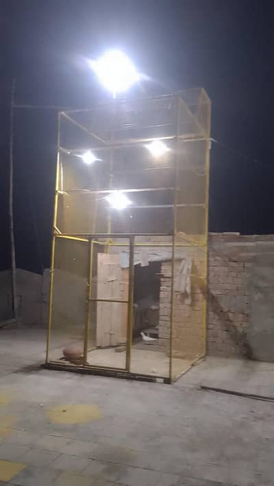 pigeons steel cage