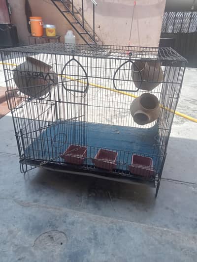 Australian parrot cage