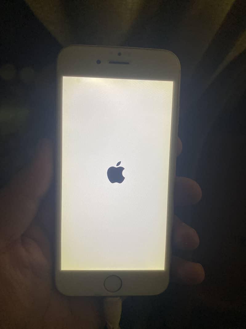 Apple iPhone 6 12