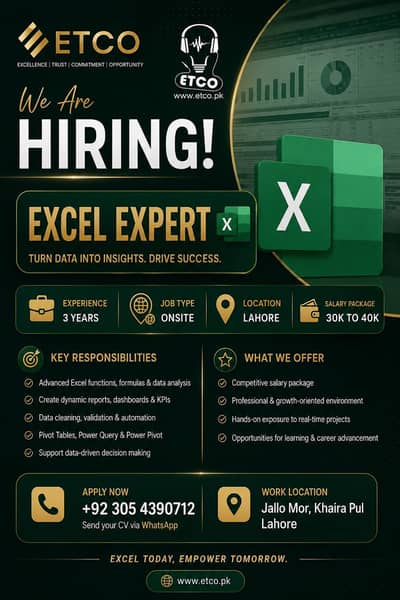 Microsoft Excel expect Data Entry