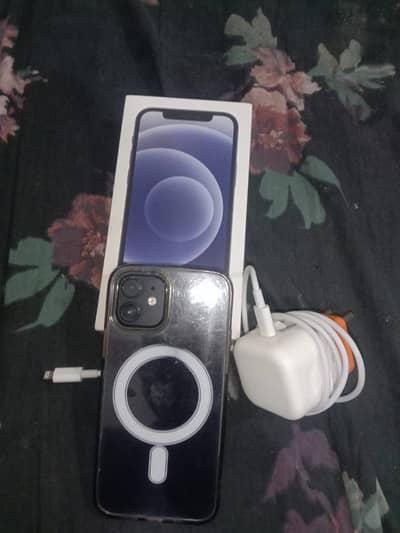 Apple iPhone 12