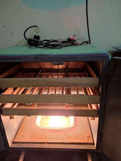 150 eggs incubator