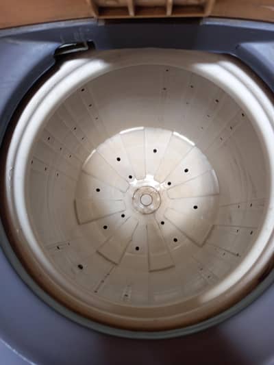 Spin dryer
