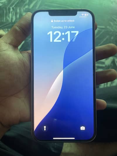 iPhone 12 Pro Max pta approved