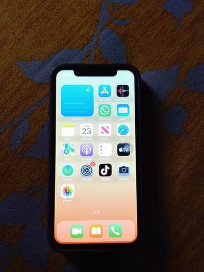 Apple iPhone X