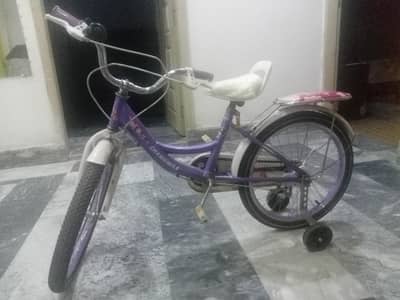 chamomile bicycle