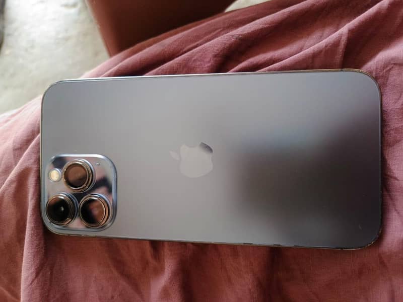 iPhone 13 Pro max 1
