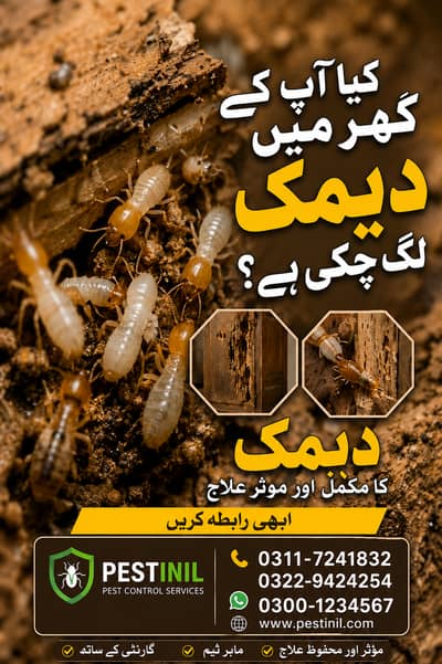 Termite Proofing Service