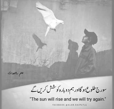 کسی بھائی کے پاس شکار یا رکھوالی والا کتا ہو تو رابطہ کرے