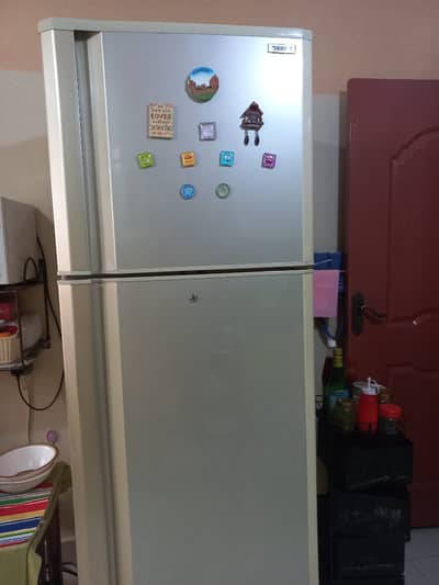 Orient fridge and freezer